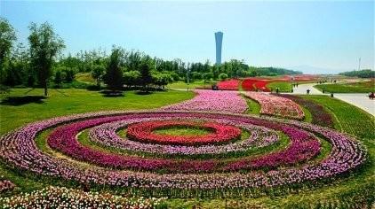 旅游 (2)